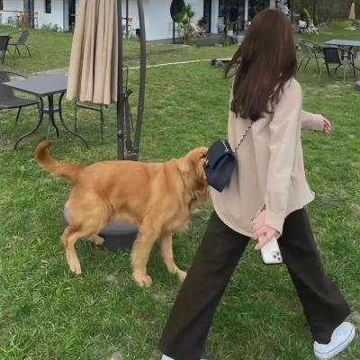 圣诞树