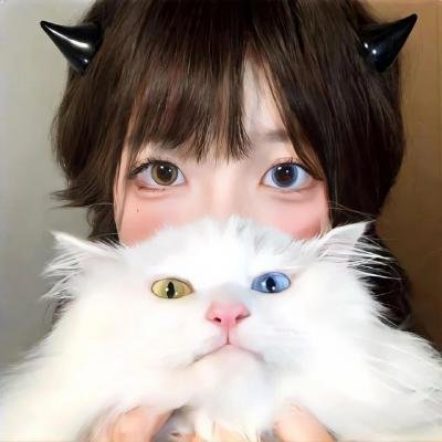一条道走到亮
